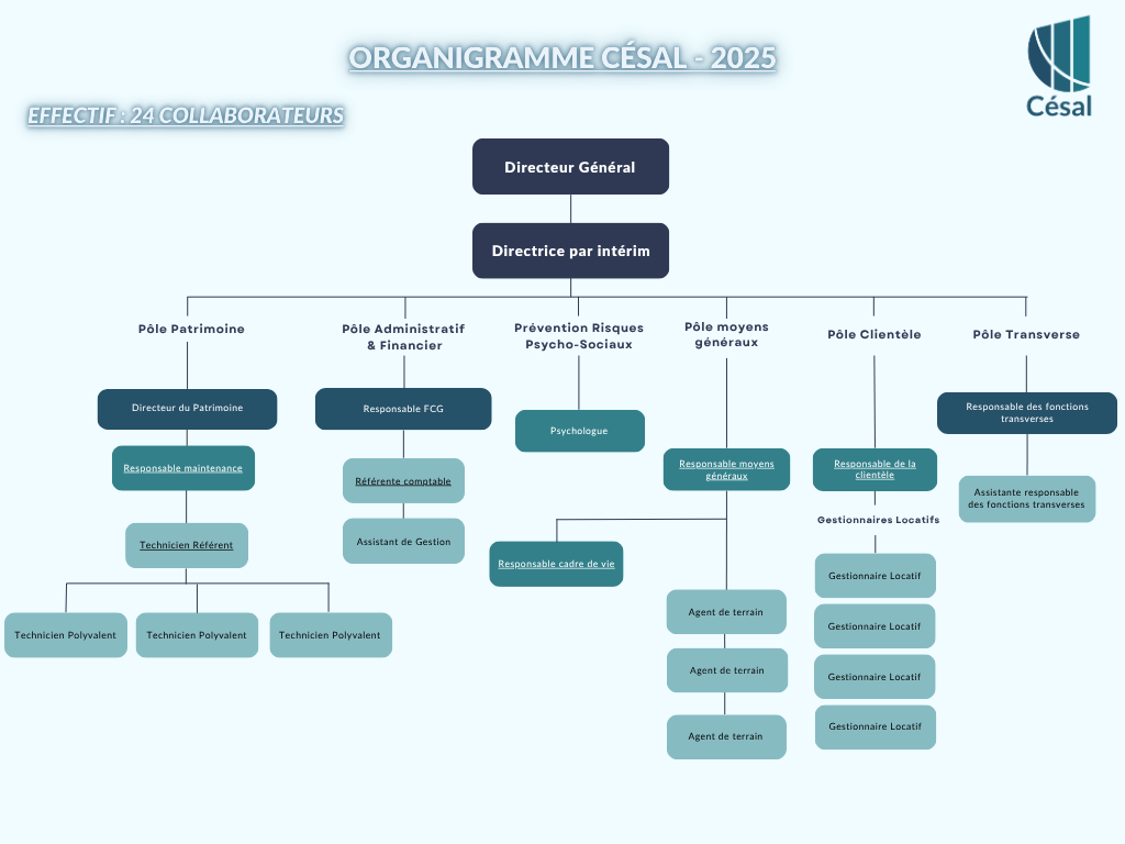 Organigramme - Fonctionnel V1